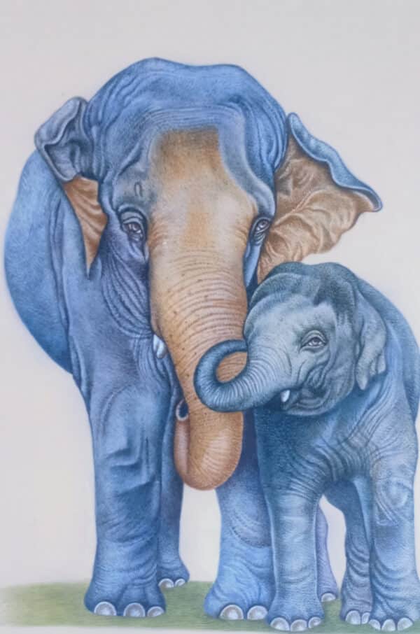 Elephant fine art painting decor, Indian elephant stretched canvas art